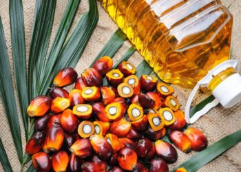 ANALIZAT/ “Qumësht i ambalazhuar” pa qumësht, vaji i palmës përmbyt tregun shqiptar, 2.9 milion litra në 2024