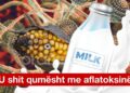 Nuk mjafton vaji i palmës, kompanitë e bulmetit i ushqyen shqiptarët dhe me qumësht me aflatoksinë
