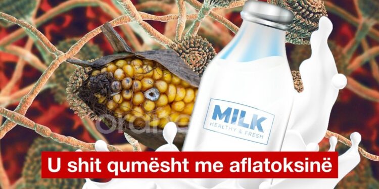 Nuk mjafton vaji i palmës, kompanitë e bulmetit i ushqyen shqiptarët dhe me qumësht me aflatoksinë
