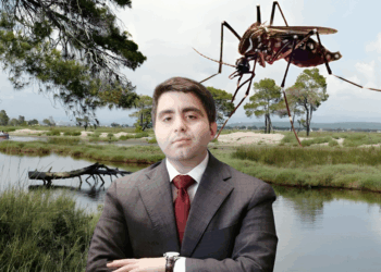 DOKUMENTET/ Tenderi i mushkonjave çoi Myzyrin e KPP-së në SPAK: Nuk zbatoi vendimin e Apelit!