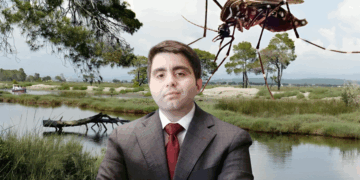 DOKUMENTET/ Tenderi i mushkonjave çoi Myzyrin e KPP-së në SPAK: Nuk zbatoi vendimin e Apelit!