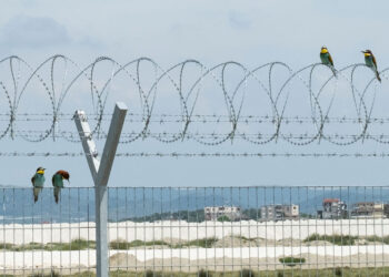 Mynihu tërhiqet prej projektit të Aeroportit të Vlorës