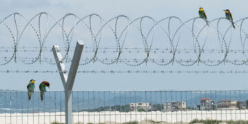 Mynihu tërhiqet prej projektit të Aeroportit të Vlorës