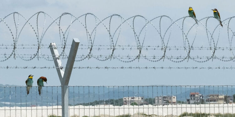 Mynihu tërhiqet prej projektit të Aeroportit të Vlorës