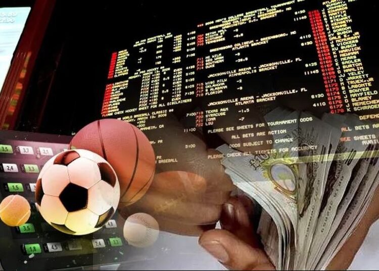 INVESTIGIMI/ Bastet pushtojnë qytetet: Kush organizon tregun e miliardave, roli i policisë, “peshkaqenët” dhe “cironkat”