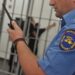 Sezon tenderësh, 14 milion euro për uniformat e Policisë së Burgjeve