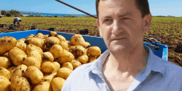 DEL RAPORTI/ Pse dhe si ndodhi black out-i i energjisë elektrike që futi në errësirë Shqipërinë dhe rajonin