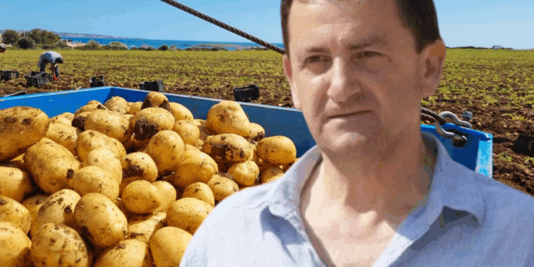 DEL RAPORTI/ Pse dhe si ndodhi black out-i i energjisë elektrike që futi në errësirë Shqipërinë dhe rajonin