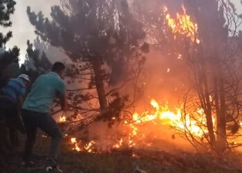 Zjarret që po shkrumbojnë Shqipërinë