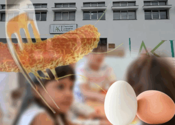 Skandali i infektimit të fëmijëve me salmonelë në Gramsh mbetet pa autor! Misteri i kompanisë furnizuese dhe hermetizmi i institucioneve