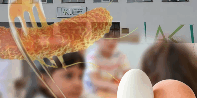 Skandali i infektimit të fëmijëve me salmonelë në Gramsh mbetet pa autor! Misteri i kompanisë furnizuese dhe hermetizmi i institucioneve