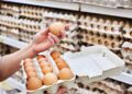 Të gjitha mostrat e vezëve të analizuara nga Elbasani rezultojnë të kontaminuara me salmonelë