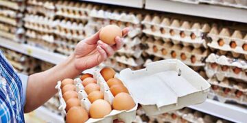 Të gjitha mostrat e vezëve të analizuara nga Elbasani rezultojnë të kontaminuara me salmonelë