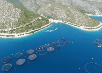 Qendra e Shkripëzimit të Midhjeve në Butrint po përjashtohet nga Projekti i Ekonomisë Blu, një kërcënim për sigurinë ushqimore dhe sovranitetin ekonomik