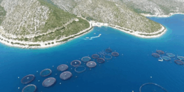 Qendra e Shkripëzimit të Midhjeve në Butrint po përjashtohet nga Projekti i Ekonomisë Blu, një kërcënim për sigurinë ushqimore dhe sovranitetin ekonomik