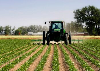 Bujqësia drejt formalizimit, mbi 105 mijë fermerë me NIPT deri në fund në 2024