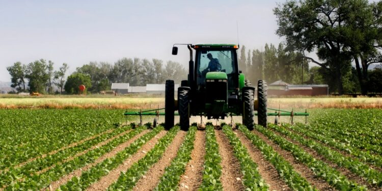 Bujqësia drejt formalizimit, mbi 105 mijë fermerë me NIPT deri në fund në 2024