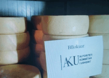 Në kulmin e shqetësimit për sigurinë ushqimore, AKU Shkodër njofton se bllokoi mbi 1 KV djath, por FSHEH arsyen