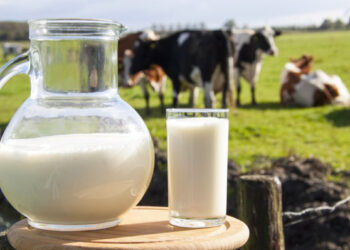 GRAFIKËT/ Bie numri i lopëve, shqiptarët po ngopen me qumësht pluhur dhe vaj palme: Sëmundjet kardiovaskulare bëjnë kërdinë