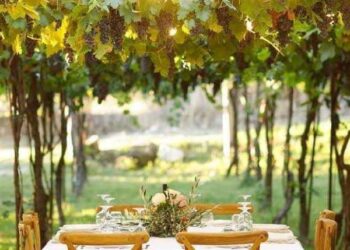 Shteti mbulon deri në 50% të investimit për agroturizëm, skema e re e subvencioneve për fermerët