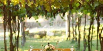 Shteti mbulon deri në 50% të investimit për agroturizëm, skema e re e subvencioneve për fermerët