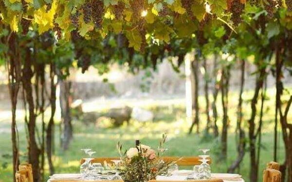 Shteti mbulon deri në 50% të investimit për agroturizëm, skema e re e subvencioneve për fermerët