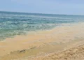 S’ka vend për panik! Shtresa e bardhë mbi ujin e detit nuk është ndotje nga anijet, si krijohet
