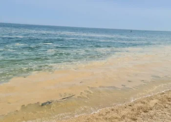 S’ka vend për panik! Shtresa e bardhë mbi ujin e detit nuk është ndotje nga anijet, si krijohet