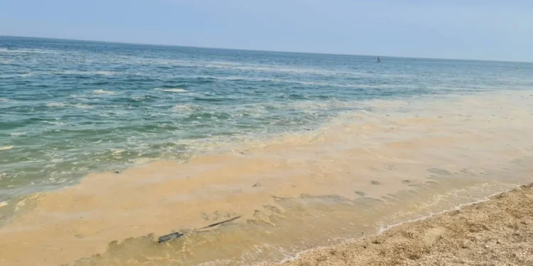 S’ka vend për panik! Shtresa e bardhë mbi ujin e detit nuk është ndotje nga anijet, si krijohet