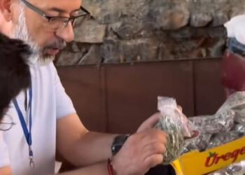 “Tregtarët ambulantë, pa detyrim për faturë tatimore“, sqaron Drejtoria e Tatimeve pas “hutisë” së inspektorëve