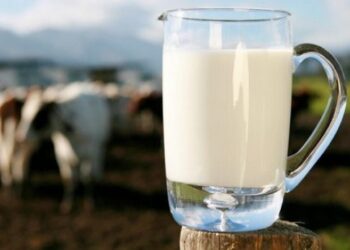 Fatura që po shteron qumështin