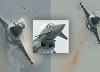 Një tufë zogjsh përplasen me avionin luftarak Eurofighter gjatë një shfaqjeje ajrore në Spanjë