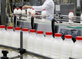 Ulet prodhimi i qumështit natyral, rritet importi i qumështit pluhur dhe vajit të palmës: Drama e prodhuesit dhe konsumatorit shqiptar