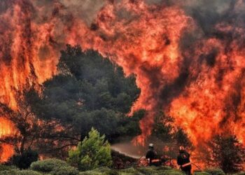 4 vatra zjarri ende aktive, AKMC dhe MM informojnë mbi situatën