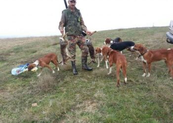 Qeveria planifikon lejimin e gjuetisë pas 10 vitesh moratorium