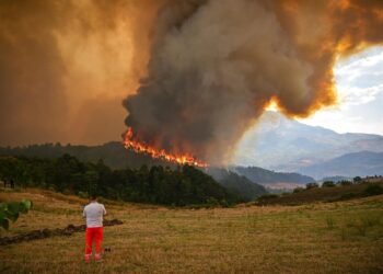 FOTO/ “Apokalipsi” në Gramsh, imazhe të dramës që la pas zjarri që përpiu gjithçka