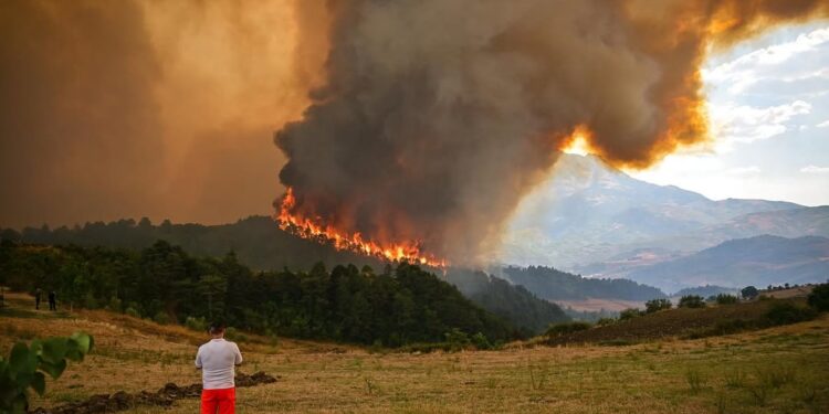 FOTO/ “Apokalipsi” në Gramsh, imazhe të dramës që la pas zjarri që përpiu gjithçka
