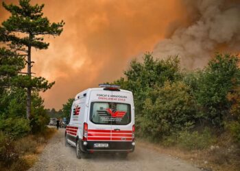 FOTO/ “Apokalipsi” në Gramsh, imazhe të dramës që la pas zjarri që përpiu gjithçka