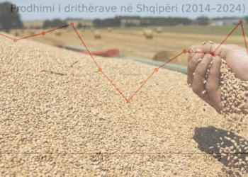 GRAFIKËT/ Drama e fermerëve, RËNIE drastike e prodhimit të grurit, tregu mbushet me import