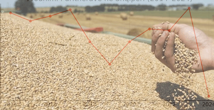 GRAFIKËT/ Drama e fermerëve, RËNIE drastike e prodhimit të grurit, tregu mbushet me import