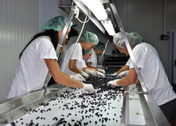 Cili është qarku më “punëtor” në vend? Kukësi dhe Gjirokastra kryesojnë listën