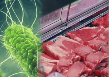 Mungesa e kontrolleve, rriten ndjeshëm rastet me salmonelë dhe helmim nga ushqimi