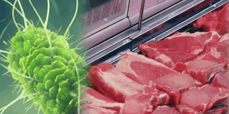 Mungesa e kontrolleve, rriten ndjeshëm rastet me salmonelë dhe helmim nga ushqimi