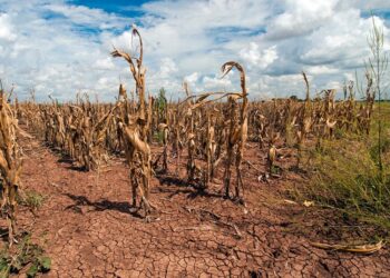 Shqipëria ndër më të prekurat në rajon nga ndryshimet klimatike, ekspertët të shqetësuar për pasojat në bujqësi
