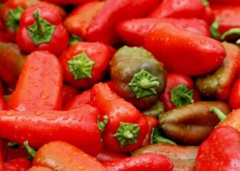 Kompania sllovene tërheq nga tregu specat “made in Albania”: Sasi e lartë pesticidesh