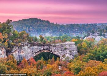 E gjithë qyteza del në shitje për 350 mijë dollarë