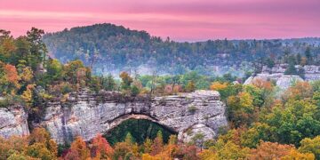 E gjithë qyteza del në shitje për 350 mijë dollarë