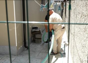 Tirana që nuk pi dot ujë nga rubineti