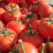 EMRAT/ Domatet me pesticide, pse u arrestuan dy inspektorët e AKU në Berat