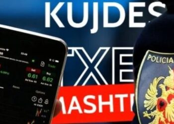 Në kurthin e piramidave online edhe qindra punonjës policie